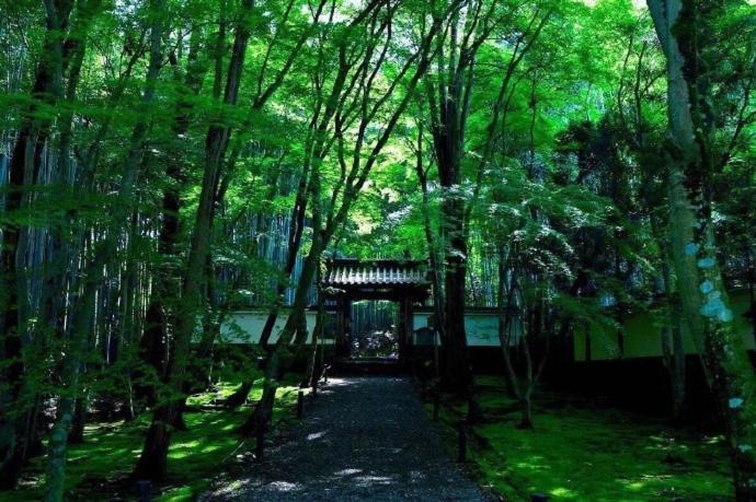 Kyoto-Toji House Quioto Exterior foto